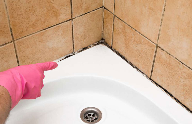 moho juntas de azulejos - condensation
