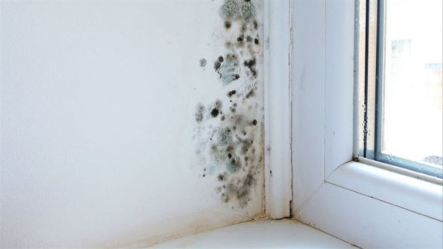 humedad por condensación - moho - condensation