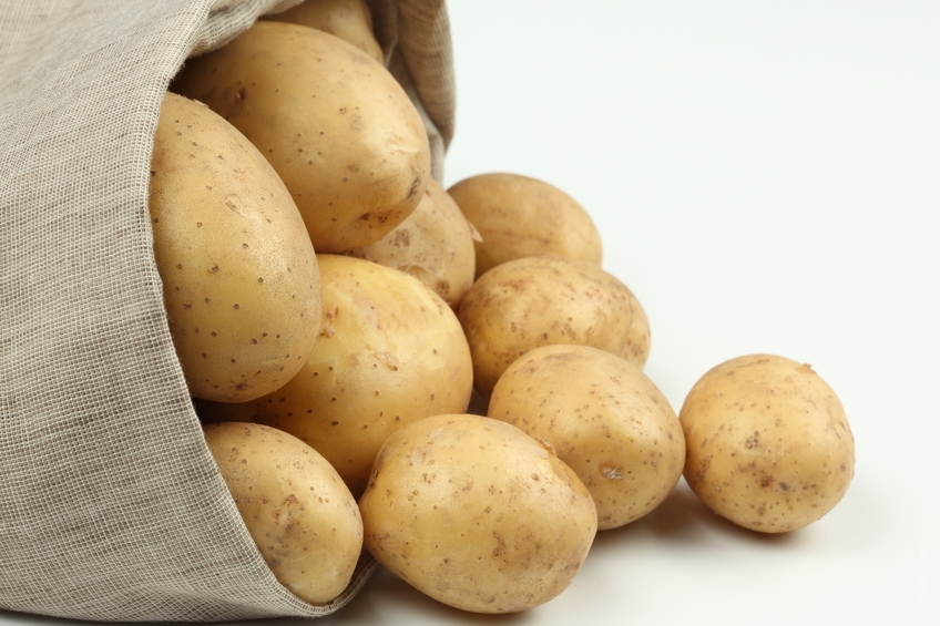 como plantar patatas