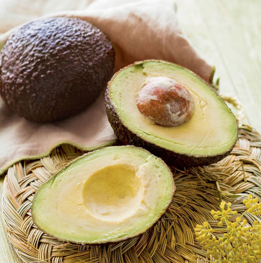 cómo plantar un aguacate