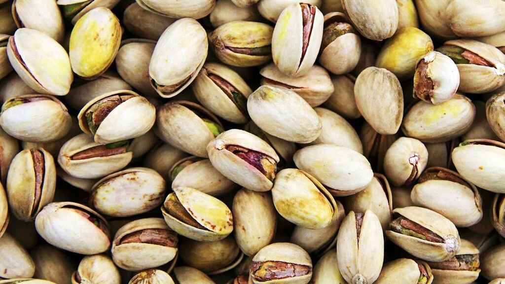 cómo plantar pistachos